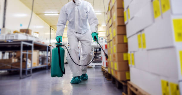 istockphoto 1222374274 612x612 istockphoto 1222374274 612x612