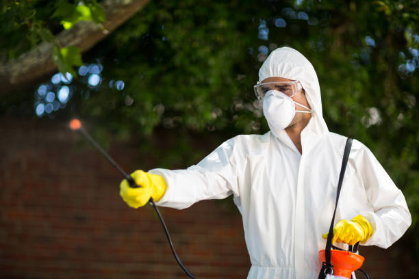 man using insecticide while standing against tree in lawn man using insecticide while standing against tree in lawn